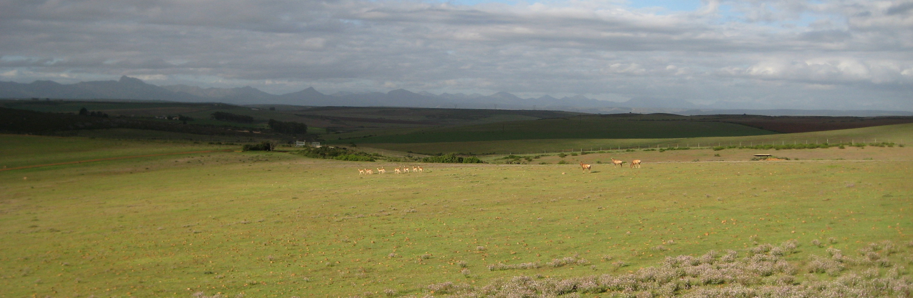 I will go anywhere, provided it be forward