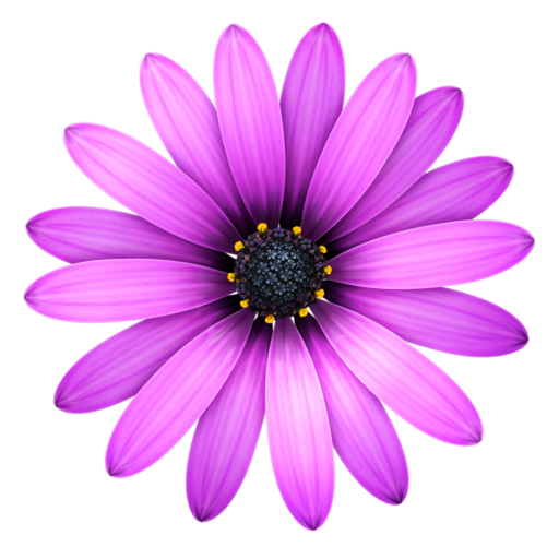 A text editor for Mac OSX